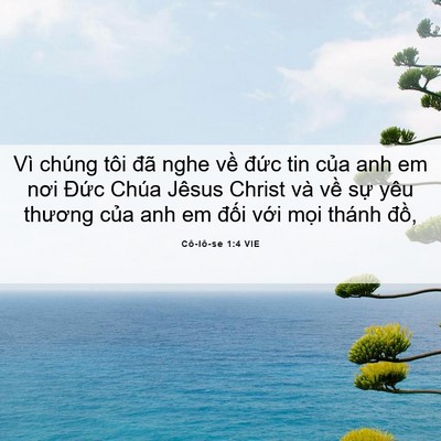 Picture 06 - Cô-lô-se 1:4 VIE - Vì chúng tôi đã nghe về đức tin của - Bible Verse Picture