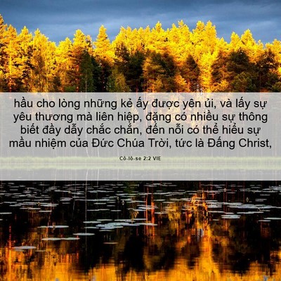 Picture 06 - Cô-lô-se 2:2 VIE - hầu cho lòng những kẻ ấy được yên - Bible Verse Picture