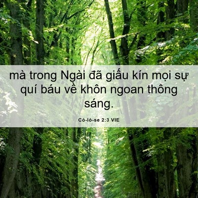 Picture 06 - Cô-lô-se 2:3 VIE - mà trong Ngài đã giấu kín mọi sự quí - Bible Verse Picture
