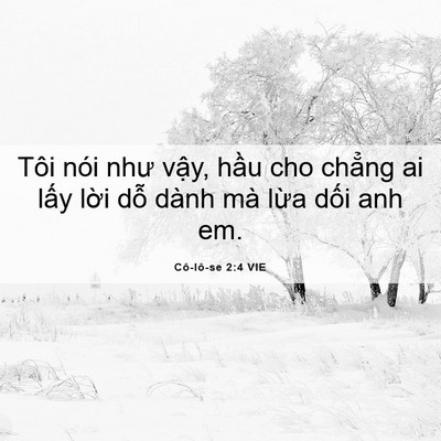 Picture 06 - Cô-lô-se 2:4 VIE - Tôi nói như vậy, hầu cho chẳng ai lấy - Bible Verse Picture