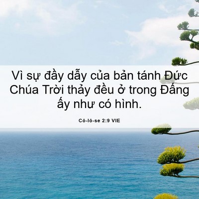 Picture 06 - Cô-lô-se 2:9 VIE - Vì sự đầy dẫy của bản tánh Đức - Bible Verse Picture