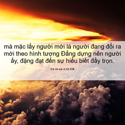 Picture 06 - Cô-lô-se 3:10 VIE - mà mặc lấy người mới là người đang - Bible Verse Picture