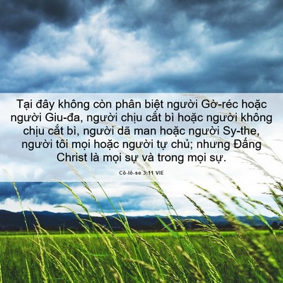 Picture 06 - Cô-lô-se 3:11 VIE - Tại đây không còn phân biệt người - Bible Verse Picture