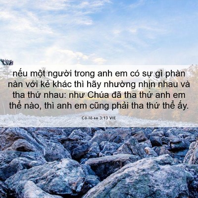 Picture 06 - Cô-lô-se 3:13 VIE - nếu một người trong anh em có sự gì - Bible Verse Picture