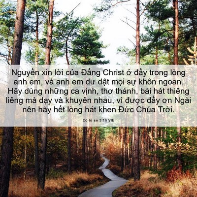 Picture 06 - Cô-lô-se 3:16 VIE - Nguyền xin lời của Đấng Christ ở - Bible Verse Picture