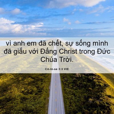 Picture 06 - Cô-lô-se 3:3 VIE - vì anh em đã chết, sự sống mình đã - Bible Verse Picture
