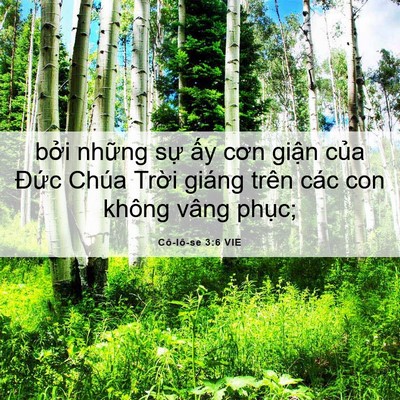 Picture 06 - Cô-lô-se 3:6 VIE - bởi những sự ấy cơn giận của Đức - Bible Verse Picture