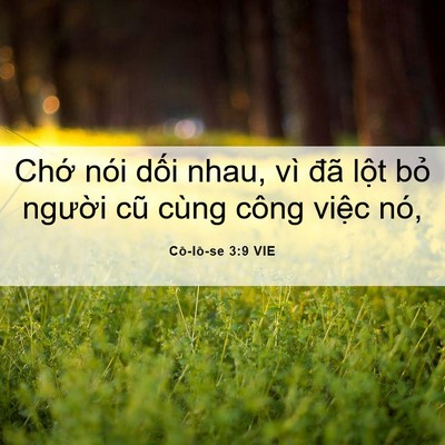 Picture 06 - Cô-lô-se 3:9 VIE - Chớ nói dối nhau, vì đã lột bỏ - Bible Verse Picture