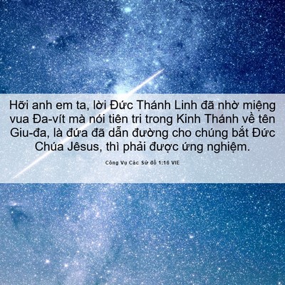 Picture 06 - Công Vụ Các Sứ đồ 1:16 VIE - Hỡi anh em ta, lời Đức Thánh Linh đã - Bible Verse Picture