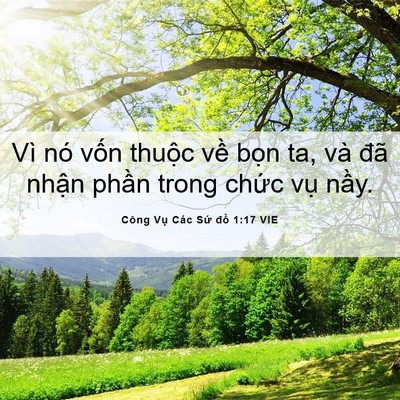 Picture 06 - Công Vụ Các Sứ đồ 1:17 VIE - Vì nó vốn thuộc về bọn ta, và đã - Bible Verse Picture