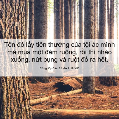 Picture 06 - Công Vụ Các Sứ đồ 1:18 VIE - Tên đó lấy tiền thưởng của tội ác - Bible Verse Picture