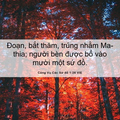 Picture 06 - Công Vụ Các Sứ đồ 1:26 VIE - Đoạn, bắt thăm, trúng nhằm Ma-thia; - Bible Verse Picture