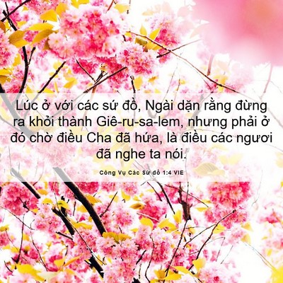 Picture 06 - Công Vụ Các Sứ đồ 1:4 VIE - Lúc ở với các sứ đồ, Ngài dặn - Bible Verse Picture