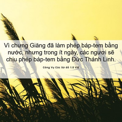 Picture 06 - Công Vụ Các Sứ đồ 1:5 VIE - Vì chưng Giăng đã làm phép báp-tem bằng - Bible Verse Picture