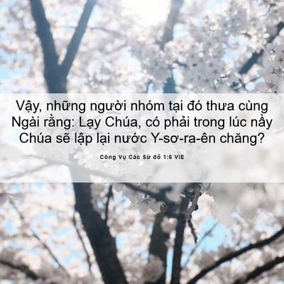 Picture 06 - Công Vụ Các Sứ đồ 1:6 VIE - Vậy, những người nhóm tại đó thưa - Bible Verse Picture