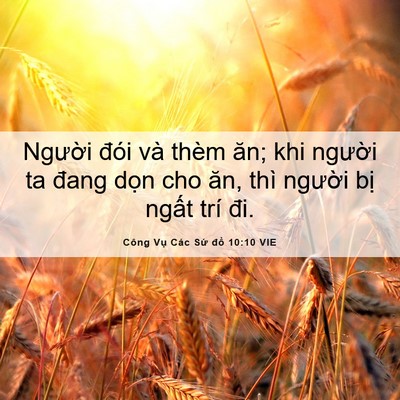 Picture 06 - Công Vụ Các Sứ đồ 10:10 VIE - Người đói và thèm ăn; khi người ta - Bible Verse Picture