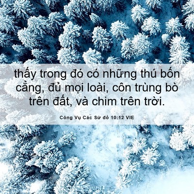 Picture 06 - Công Vụ Các Sứ đồ 10:12 VIE - thấy trong đó có những thú bốn cẳng, - Bible Verse Picture