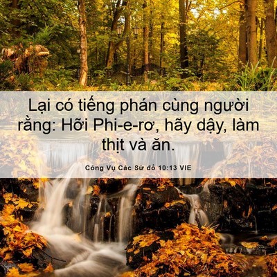 Picture 06 - Công Vụ Các Sứ đồ 10:13 VIE - Lại có tiếng phán cùng người rằng: - Bible Verse Picture