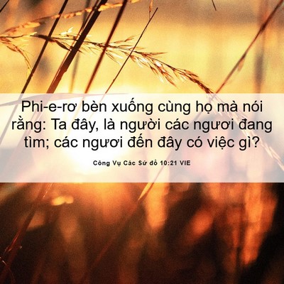 Picture 06 - Công Vụ Các Sứ đồ 10:21 VIE - Phi-e-rơ bèn xuống cùng họ mà nói - Bible Verse Picture