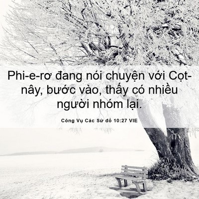 Picture 06 - Công Vụ Các Sứ đồ 10:27 VIE - Phi-e-rơ đang nói chuyện với Cọt-nây, - Bible Verse Picture