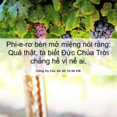 Picture 06 - Công Vụ Các Sứ đồ 10:34 VIE - Phi-e-rơ bèn mở miệng nói rằng: Quả - Bible Verse Picture