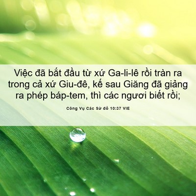 Picture 06 - Công Vụ Các Sứ đồ 10:37 VIE - Việc đã bắt đầu từ xứ Ga-li-lê - Bible Verse Picture