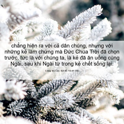Picture 06 - Công Vụ Các Sứ đồ 10:41 VIE - chẳng hiện ra với cả dân chúng, nhưng - Bible Verse Picture