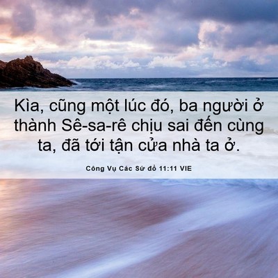 Picture 06 - Công Vụ Các Sứ đồ 11:11 VIE - Kìa, cũng một lúc đó, ba người ở - Bible Verse Picture
