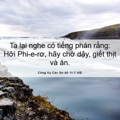 Picture 06 - Công Vụ Các Sứ đồ 11:7 VIE - Ta lại nghe có tiếng phán rằng: Hỡi - Bible Verse Picture