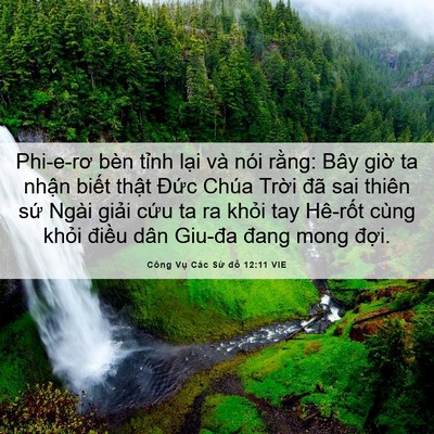 Picture 06 - Công Vụ Các Sứ đồ 12:11 VIE - Phi-e-rơ bèn tỉnh lại và nói rằng: Bây - Bible Verse Picture
