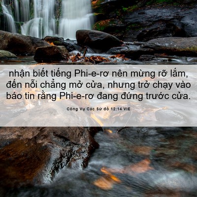 Picture 06 - Công Vụ Các Sứ đồ 12:14 VIE - nhận biết tiếng Phi-e-rơ nên mừng rỡ - Bible Verse Picture