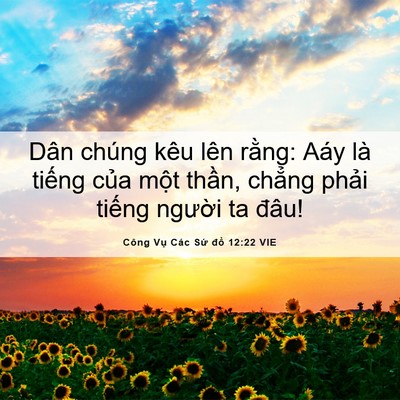 Picture 06 - Công Vụ Các Sứ đồ 12:22 VIE - Dân chúng kêu lên rằng: Aáy là tiếng - Bible Verse Picture