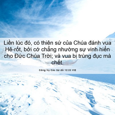 Picture 06 - Công Vụ Các Sứ đồ 12:23 VIE - Liền lúc đó, có thiên sứ của Chúa - Bible Verse Picture