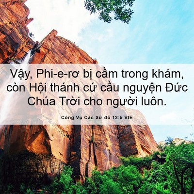 Picture 06 - Công Vụ Các Sứ đồ 12:5 VIE - Vậy, Phi-e-rơ bị cầm trong khám, còn - Bible Verse Picture