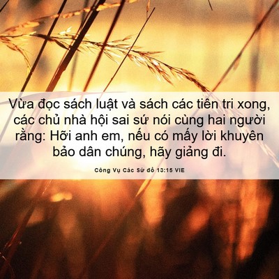 Picture 06 - Công Vụ Các Sứ đồ 13:15 VIE - Vừa đọc sách luật và sách các tiên - Bible Verse Picture