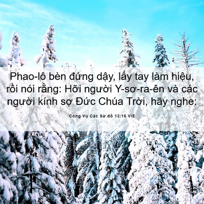 Picture 06 - Công Vụ Các Sứ đồ 13:16 VIE - Phao-lô bèn đứng dậy, lấy tay làm - Bible Verse Picture