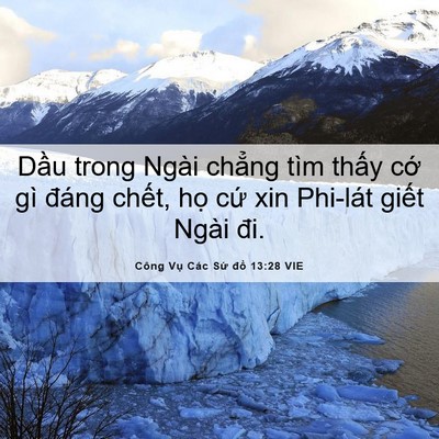 Picture 06 - Công Vụ Các Sứ đồ 13:28 VIE - Dầu trong Ngài chẳng tìm thấy cớ gì - Bible Verse Picture