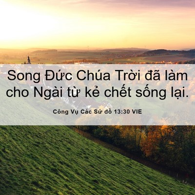Picture 06 - Công Vụ Các Sứ đồ 13:30 VIE - Song Đức Chúa Trời đã làm cho Ngài từ - Bible Verse Picture