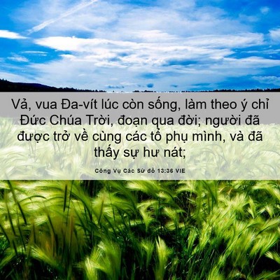 Picture 06 - Công Vụ Các Sứ đồ 13:36 VIE - Vả, vua Đa-vít lúc còn sống, làm theo ý - Bible Verse Picture