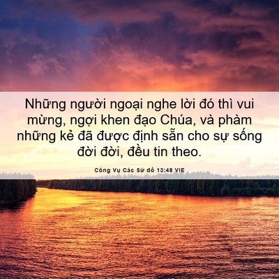Picture 06 - Công Vụ Các Sứ đồ 13:48 VIE - Những người ngoại nghe lời đó thì vui - Bible Verse Picture