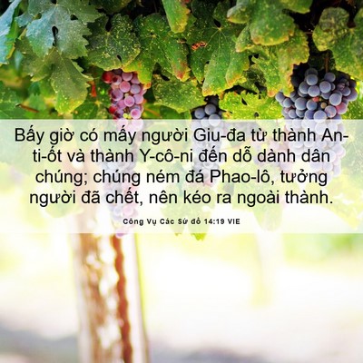 Picture 06 - Công Vụ Các Sứ đồ 14:19 VIE - Bấy giờ có mấy người Giu-đa từ - Bible Verse Picture