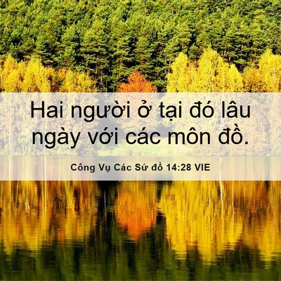 Picture 06 - Công Vụ Các Sứ đồ 14:28 VIE - Hai người ở tại đó lâu ngày với các - Bible Verse Picture