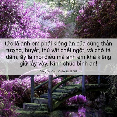 Picture 06 - Công Vụ Các Sứ đồ 15:29 VIE - tức là anh em phải kiêng ăn của cúng - Bible Verse Picture