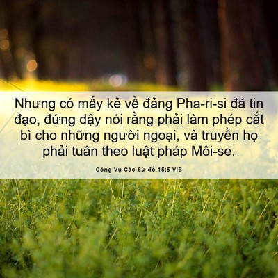 Picture 06 - Công Vụ Các Sứ đồ 15:5 VIE - Nhưng có mấy kẻ về đảng Pha-ri-si đã - Bible Verse Picture