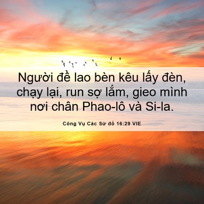 Picture 06 - Công Vụ Các Sứ đồ 16:29 VIE - Người đề lao bèn kêu lấy đèn, chạy - Bible Verse Picture