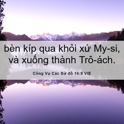 Picture 06 - Công Vụ Các Sứ đồ 16:8 VIE - bèn kíp qua khỏi xứ My-si, và xuống - Bible Verse Picture