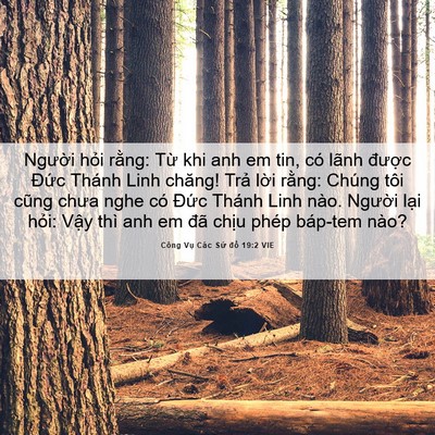 Picture 06 - Công Vụ Các Sứ đồ 19:2 VIE - Người hỏi rằng: Từ khi anh em tin, có - Bible Verse Picture