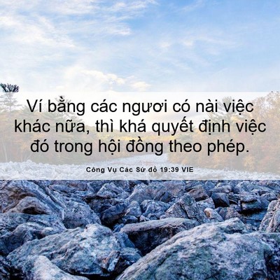 Picture 06 - Công Vụ Các Sứ đồ 19:39 VIE - Ví bằng các ngươi có nài việc khác - Bible Verse Picture