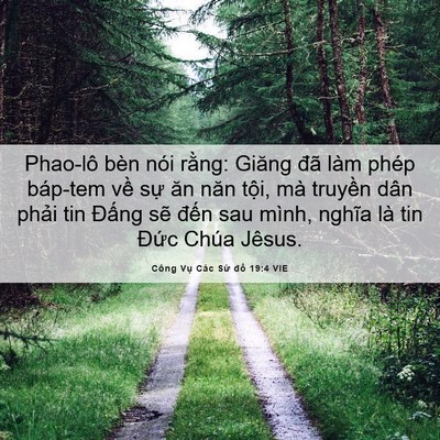 Picture 06 - Công Vụ Các Sứ đồ 19:4 VIE - Phao-lô bèn nói rằng: Giăng đã làm phép - Bible Verse Picture