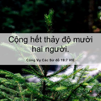 Picture 06 - Công Vụ Các Sứ đồ 19:7 VIE - Cộng hết thảy độ mười hai - Bible Verse Picture